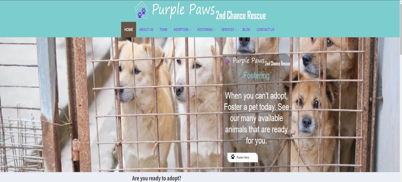 Purple Paws 2nd Chance Rescue Logo